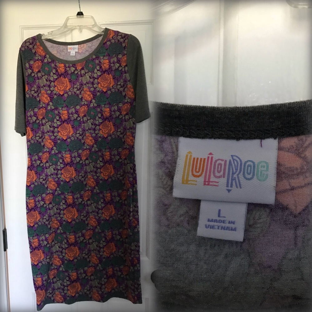 Lularoe Julia dress